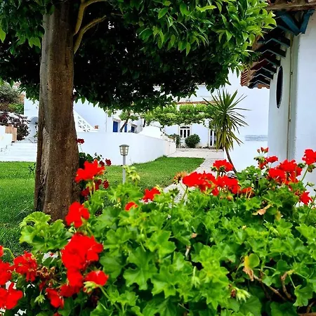 Oryza Guest House& Farma Coimbra