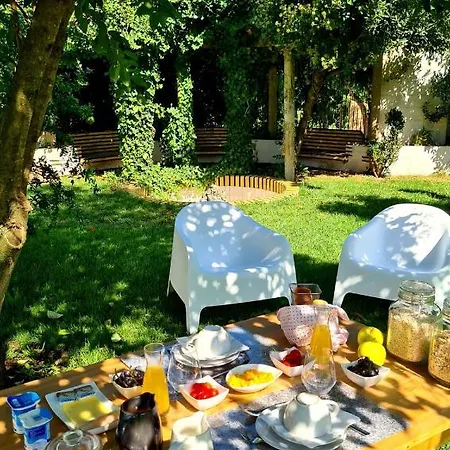 Farma Oryza Guest House&