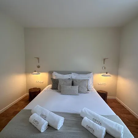 Oryza Guest House& * Coímbra