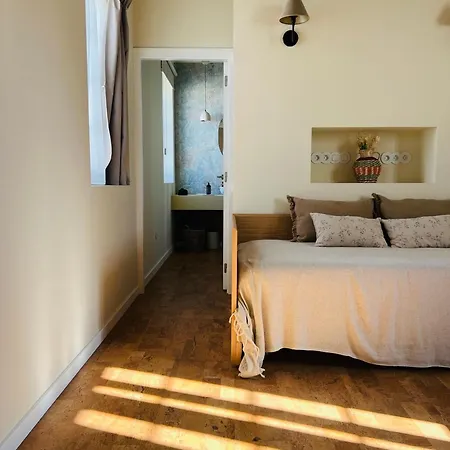 Oryza Guest House& Farm stay