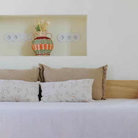 Oryza Guest House& Farm stay *