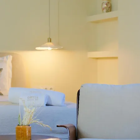 Alojamento de Turismo Rural Oryza Guest House& *