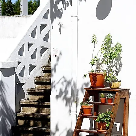 Oryza Guest House& * Coimbra