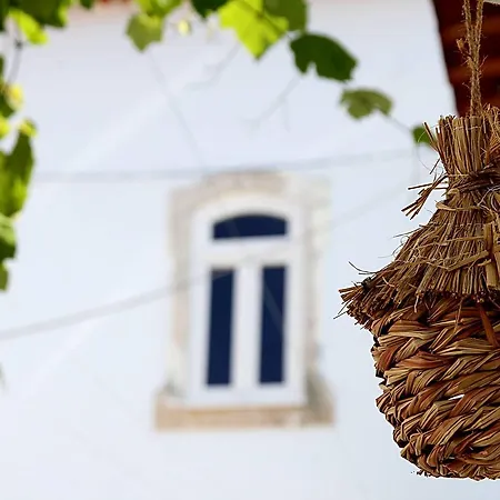 Oryza Guest House& Farma Coimbra