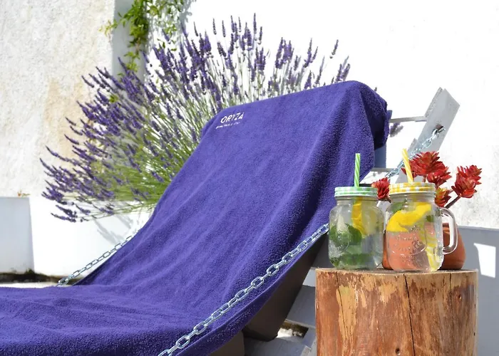 Oryza Guest House& ファームステイ *