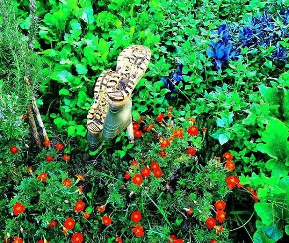 ファームステイ Oryza Guest House& *