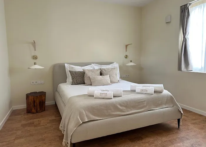 Oryza Guest House& ファームステイ *