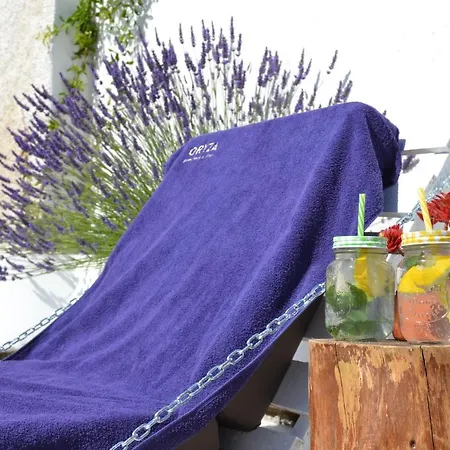 Oryza Guest House& Feriegård *