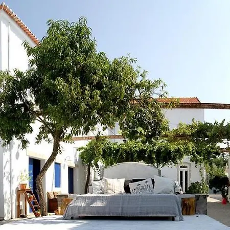 Oryza Guest House& Farm stay *