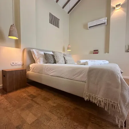 Oryza Guest House&