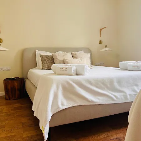 Oryza Guest House& Farmház Coimbra