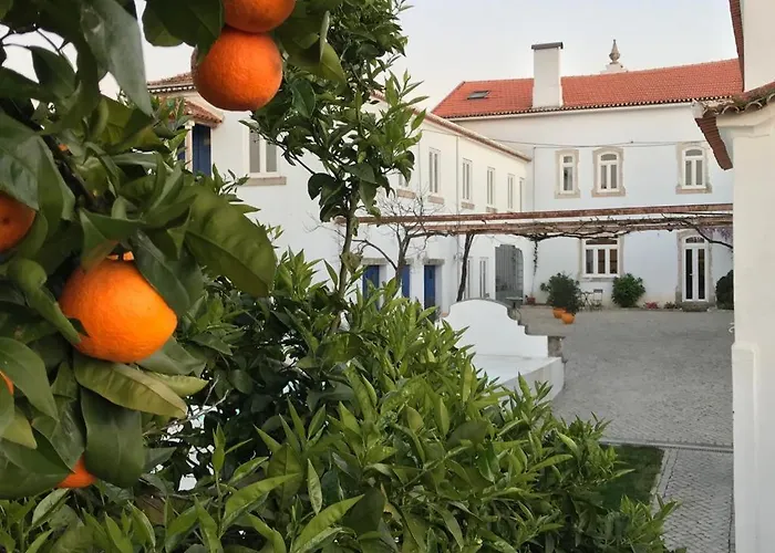 Oryza Guest House& Coimbra