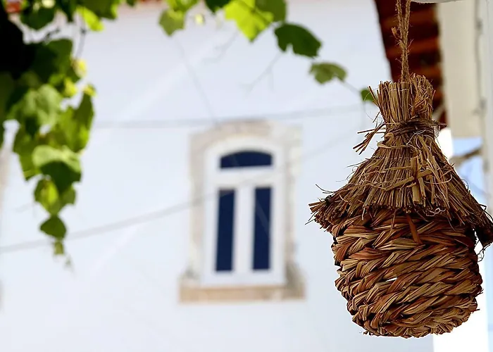 Oryza Guest House& Çiftlik konaklama Coimbra